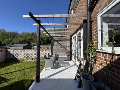 Picture 25